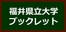 28.png